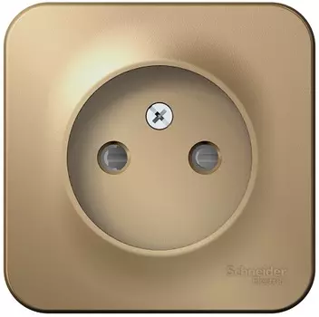 Розетка Schneider Electric BLNRA001114 б/з со шторками 16А, 250В, изолир. пластина Титан наруж
