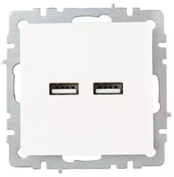 Розетка USB IEK BR-U21-D31-K36 BRITE тип A+тип A 3,1А РЮ10-1-БрЖ Жемчужный