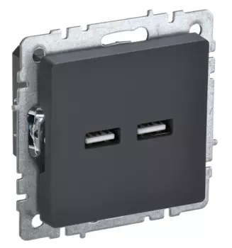 Розетка USB IEK BR-U21-D31-K53 BRITE тип A+тип A 3,1А РЮ10-1-БрГ Графит