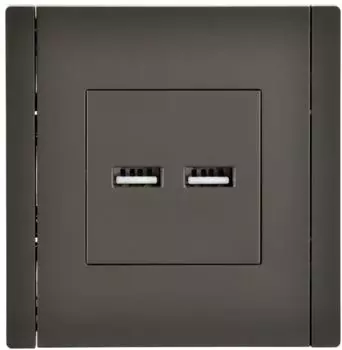 Розетка USB IEK FP-U21-D31-K03 FORTE&PIANO тип A+тип A 3,1А FP349 серый