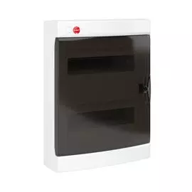 Щиток навесной DKC 84724 24 модуля, IP 41, с дверцей, с усил. клемм. блоком 2x87308, белый, "RAM base"