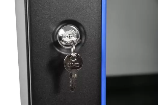 Шкаф настенный 19", 9U ЦМО ШРН-Э-9.350-9005 (600 350) дверь стекло, черный