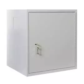 Шкаф настенный 19, 9U ЦМО ШРН-А-9.520 антивандальный (600х530)