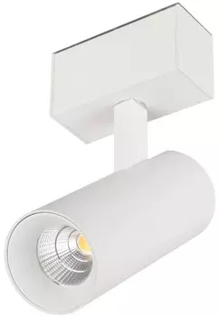 Светильник Arlight MAG-SPOT-45-R85-12W Day4000 033425 (WH, 36 deg, 24V) IP20 металл
