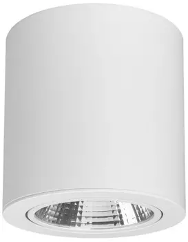 Светильник Arlight SP-FOCUS-R140-30W Day White 021428 IP20 металл