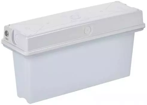 Светильник аварийного освещения IEK LSSA0-1010-1-65-K01 ССА1010 1ч универс. IP65