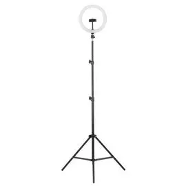 Светильник напольный Camelion KD-810F С02 светодиодный, кольцевой, с держателем смартфона, 10Вт, 5В,