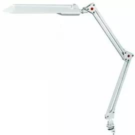 Светильник настольный Camelion KD-017С С01 люминесцентный, энергосберегающий, с ЭПРА, 11Вт, ~230В, 5