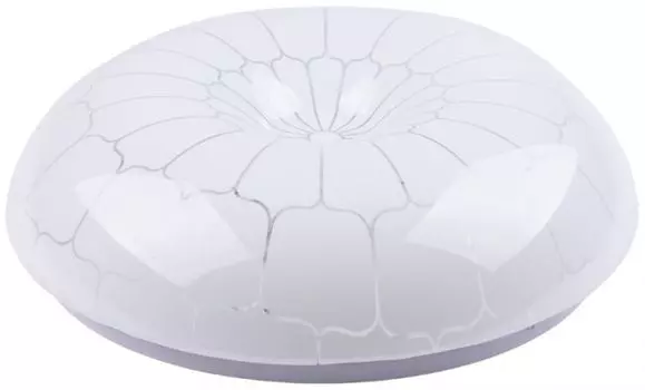 Светильник TDM SQ0329-0173 светодиодный LED СПС 03 22Вт с изменением яркости и цвета 2700К-6500К D35см, Паутина