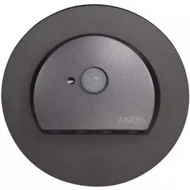 Светильник Zamel 09-222-31 RUBI Графит/Хол.бел. в монт.коробку, 230V AC с датчиком движения