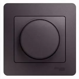 Светорегулятор Schneider Electric GSL001437