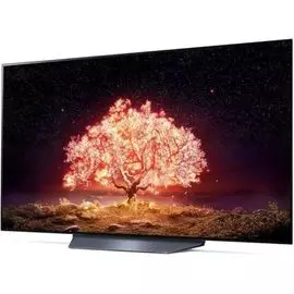 Телевизор LG OLED55B1RLA