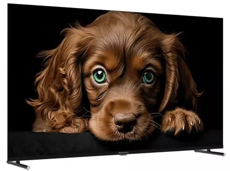 Телевизор TopDevice TDTV50CQ08U_BK 50" {HD/VA-QLED/SMART WILDRED/2-8GB/BT/BLACK}