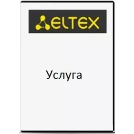 Услуга ELTEX SMG-SV-CNFG по удалённому конфигурированию одного цифрового шлюза SMG-1016М/SMG-2016 на основании технического задания