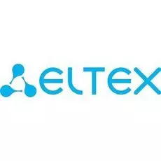 Услуга ELTEX TS-ADVANCED-45