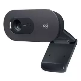 Веб-камера Logitech C505 960-001364 USB, HD 720p