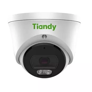 Видеокамера IP TIANDY TC-C320N I3/E/Y/2.8mm 2 Мп, 2,8мм, купольная с ИК-подсветкой до 30м 1/3" CMOS, 100°, ИК-фильтр, 1920x1080/25к/с, антитуман, дете