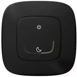 Выключатель беспроводной Legrand 752889 Valena Allure with NETATMO, "День/Ночь", антрацит