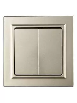 Выключатель двухклавишный в сборе IEK BR-V20-0-10-K37-F BRITE 10А ВСР10-2-0-БрШ Шампань