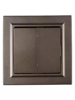 Выключатель двухклавишный в сборе IEK BR-V20-0-10-K45-F BRITE 10А ВСР10-2-0-БрТБ Бронза