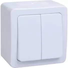 Выключатель IEK EVMP20-K01-10-54-EC ВС20-2-0-ГПБ 2кл о/у IP54 (цвет клавиши:белый) ГЕРМЕС PLUS