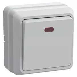 Выключатель IEK EVO11-K01-10-DC ОКТАВА одноклавишный наружный белый с индикацией