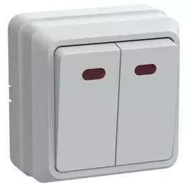 Выключатель IEK EVO21-K01-10-DC ОКТАВА двухклавишный наружный белый с индикацией