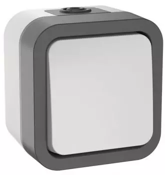 Выключатель одноклавишный IEK TS-V16-0-10-55-K41 TORS двухполюсный 10А IP55 TS211 серо-белый