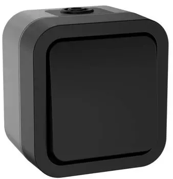 Выключатель одноклавишный IEK TS-V16-0-10-55-K53 TORS двухполюсный 10А IP55 TS111 графит