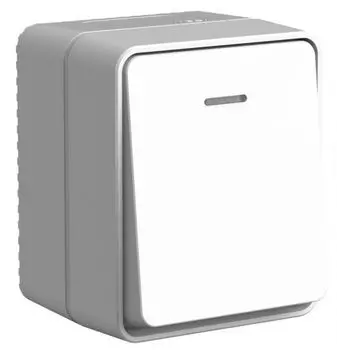 Выключатель одноклавишный Systeme Electric ATN543013 AtlasDesign PROFI IP54 О/У с подсветкой 10 АХ, СЕРЫЙ