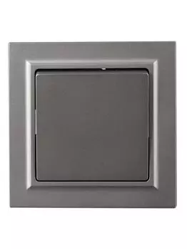 Выключатель одноклавишный в сборе IEK BR-V10-0-10-K46-F BRITE 10А ВСР10-1-0-БрС Сталь
