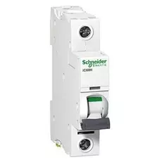Выключатель Schneider Electric A9F89116