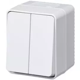 Выключатель Schneider Electric ATN540151 AtlasDesign PROFI IP54 О/У 2-клавишный 10 АХ, белый