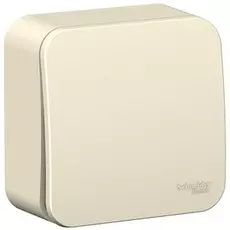 Выключатель Schneider Electric BLNVA101012 1-клавишный 10А, 250B, изолир. пластина Молочный наруж