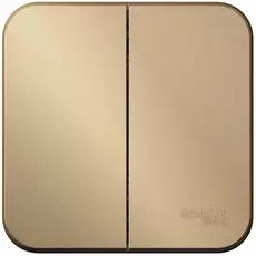 Выключатель Schneider Electric BLNVA105014 2-клавишный 10А, 250B, изолир. пластина Титан наруж