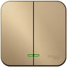 Выключатель Schneider Electric BLNVA105104 2-клавишный с подсветкой, 10А, 250B Титан наруж