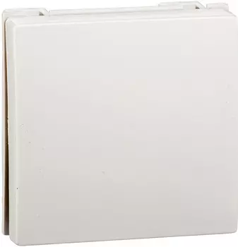 Выключатель Schneider Electric VN1U-141-BE Wessen 45 1-клавишный 1-полюсный, белый