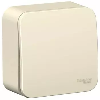Выключатель Schneider Electric BLNVA061012 1-клавишный 6А, 250В, изолир. пластина Молочный наруж