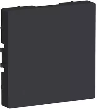 Заглушка Systeme Electric ATN001009 AtlasDesign без суппорта для многопостовых рамок, Карбон