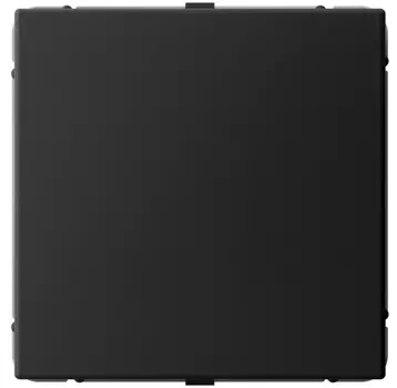 Заглушка Systeme Electric GAL001009 ArtGallery без суппорта для многопостовых рамок, карбон