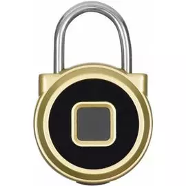 Замок Digma SmartLock R1