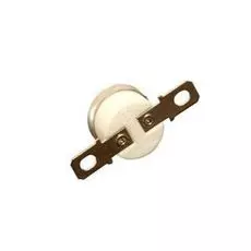 Запчасть Ricoh AW110038 Термостат