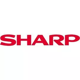 Запчасть Sharp PFILZ0017QSZZ Озоновый фильтр Sharp AR161/200/205/206