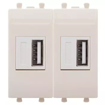 Зарядное устройство DKC 4405542 USB, модульное, "Ванильная дымка", 2 модуля, "Avanti"