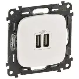 Зарядное устройство Legrand 754999 Valena ALLURE - с двумя USB-разьемами 240В/5В 1500мА, с лицевой панелью, жемчуг