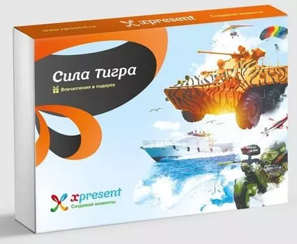 Подарочный набор «Сила тигра» (5 впечатлений на выбор)