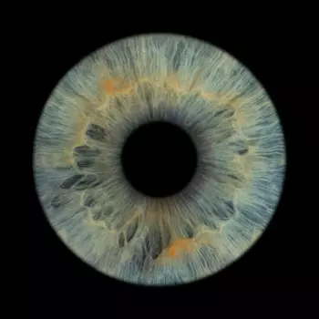 Подарочный сертификат «Фото радужки глаз на выезд» (1 час 30 минут, до 20 человек)