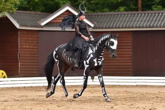 Подарочный сертификат «Фотосессия с лошадьми» (1 час, От 1 до 2 чел.)