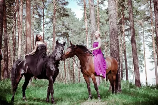 Подарочный сертификат «Фотосессия с лошадьми» (1 сеанс, 1 человек)