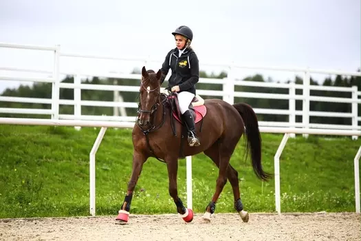 Подарочный сертификат «Индивидуальная конная прогулка» (50 минут, 1 человек)